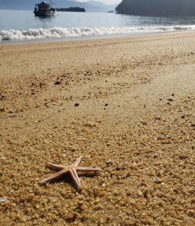 Ilha Grande Hotel | O Sitio - Ilha Grande