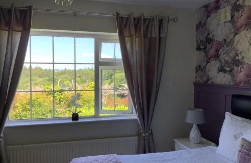 Muckross Cama Y Desayuno | O' Sullivan's B & B