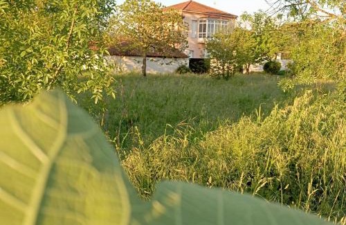Monforte de Lemos Casa | O toxal