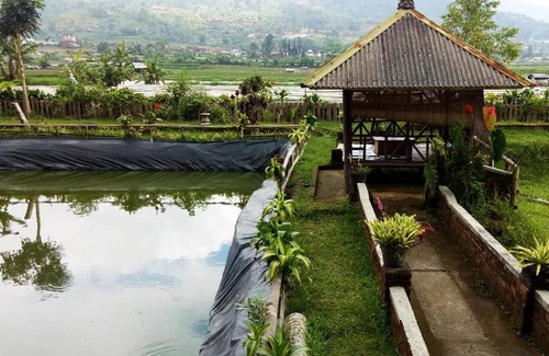 Wanagiri Hotel | Oak Tree Bali