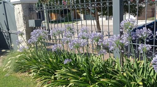Bahia Blanca Apartamento | Oasis Cochera opcional