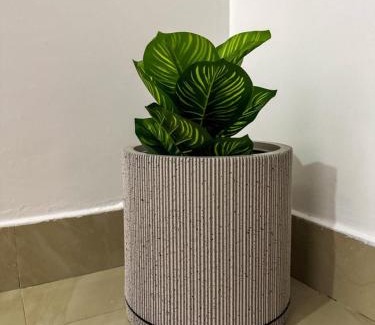 Dakar Apartamento | Oasis Dakar