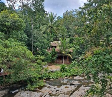 K. Wipawadi Casa | Oasis forest garden
