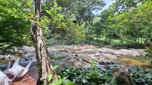 K. Wipawadi Casa | Oasis forest garden