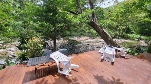 K. Wipawadi Casa | Oasis forest garden