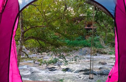 K. Wipawadi Casa | Oasis forest garden