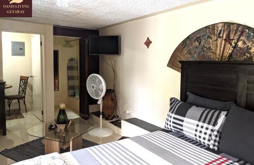 Mandeville Apartamento | Oasis Living Getaway in Mandeville, Manchester