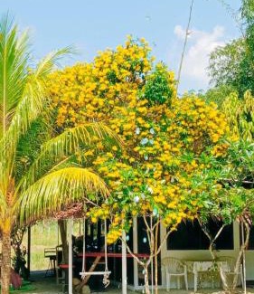Sa Khu Complejo | OASIS Phuket Airport
