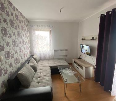 Zlatibor Apartamento | Oaza mira