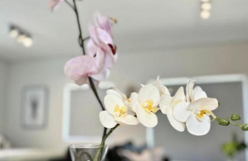 Cape Town Apartamento | Obs Centre Luxe Loft