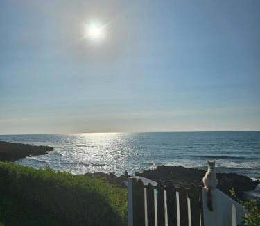 Tamariss Apartamento | Océan Beach