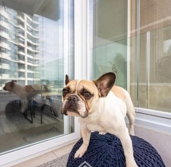 Renaca Apartamento | Ocean and forest views, perfect for you