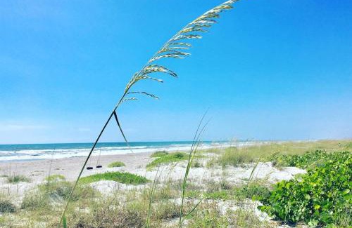 Crescent Beach Casa | Ocean Beach Villas Unit 302- Direct Oceanfront Condo!