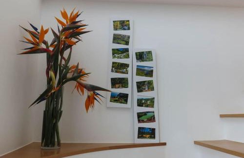 Ribeira Grande Casa | Ocean Garden House - Azorean Butler