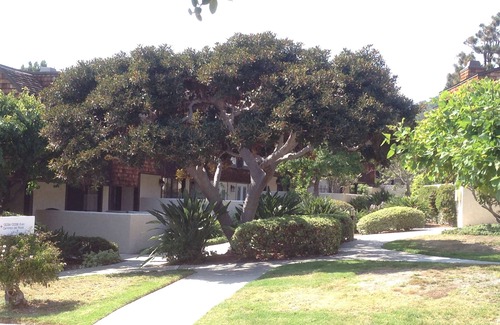 Del Mar Heights Casa | Ocean View en Torrey Pines Beach Del Mar