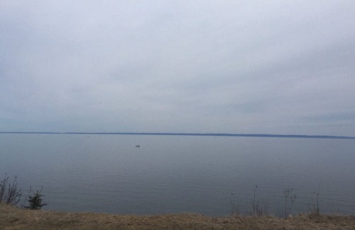 Antigonish County Cabaña | Ocean View Cottage Antigonish Condado