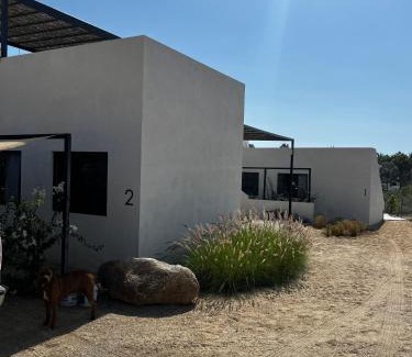 Todos Santos Casa | Ocean View, Gorgeous Rooftop, AC, Wifi & Peaceful