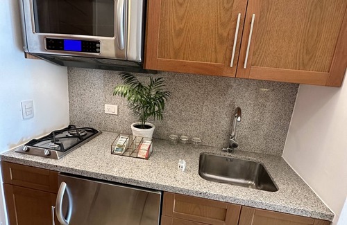 Punta Cana Apartamento | Ocean View Studio in Cap Cana