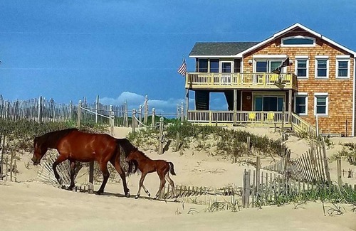 Corolla Casa | OCEANFRONT, 4-wheel drive area, Wild Horses, Ocean Views! 4x1662, Dolphin Watch