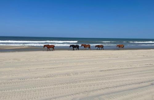 Whalehead Beach Casa | Oceanfront grandeur 4x4 Outerbanks -Hemingway
