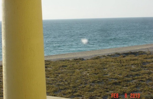 Todos Santos Villa | FRENTE AL MAR! Whale View Inn