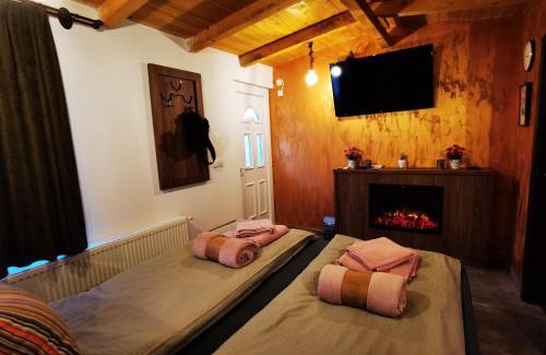 Central Serbia Apartamento | Odmaraliste Kod Miće Apartman 3
