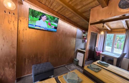 Central Serbia Apartamento | Odmaraliste Kod Mice Apartman 5