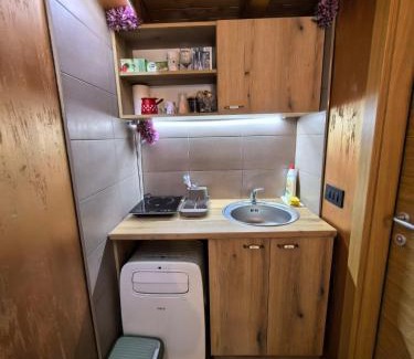 Central Serbia Apartamento | Odmaraliste Kod Mice Apartman 5