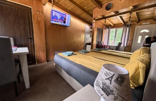Central Serbia Apartamento | Odmaraliste Kod Mice Apartman 5