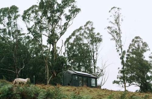Hallston Casa | Off-Grid Cabin Surrounded by Nature - Hot Tub - Arlo