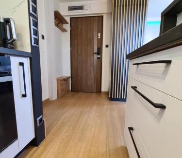 Regietow Apartamento | OffWysowa