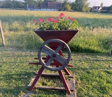 Chaumont-sur-Tharonne Cama Y Desayuno | Oh ! Fleurs des champs