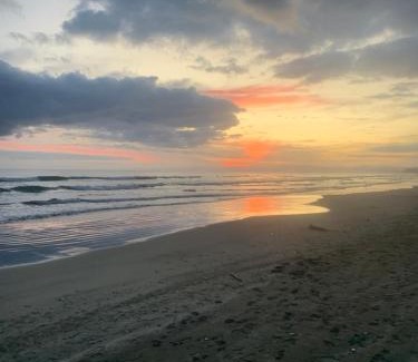 Ohope Apartamento | Ohope Coastal Escape