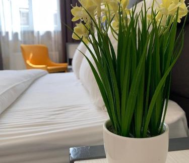 Lviv City Center Apartamento | OK Apartments Nasypna