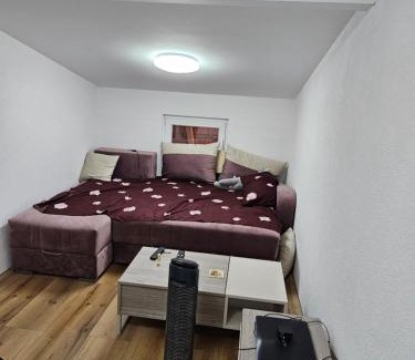 Leskovac Apartamento | Oki