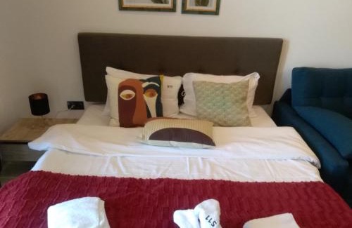 Lisina Apartamento | Okili apartman S11 Milmari resort Kopaonik