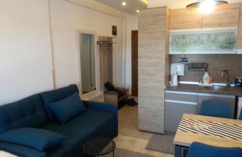 Lisina Apartamento | Okili apartman S11 Milmari resort Kopaonik