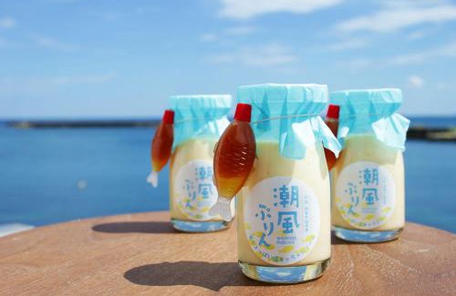 Toyooka Hotel | Okukinosaki Seaside Hotel