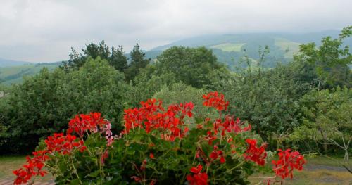 Olaskoegia Casa | Olaskoaga Goikoa