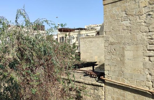 Baku Old Town Casa | Old city experience