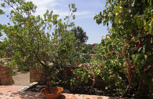 Formentera Casa | ANTIGUA FINCA REFORMADA EN PLENA NATURALEZA
