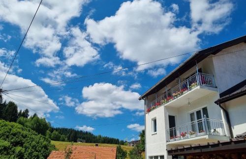Brdo Apartamento | OLD HOUSE LJUJIĆ