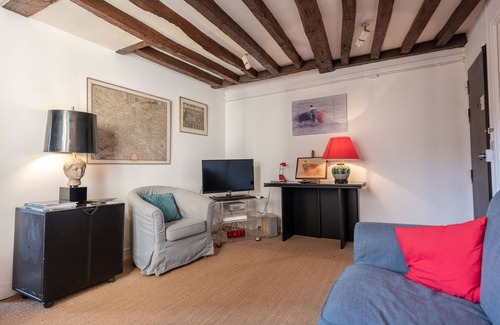Jardin des plantes Apartamento | Old Stones, Wooden Beams, View on Ancient Paris Lutecia, Latin Quarter