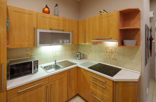 Stare Mesto Apartamento | CIUDAD ANTIGUA - DLOUHA BALCONY DLOUHA max 4 pers