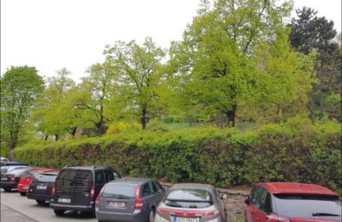 Brno-stred Apartamento | Old Town Apartment Pellicova