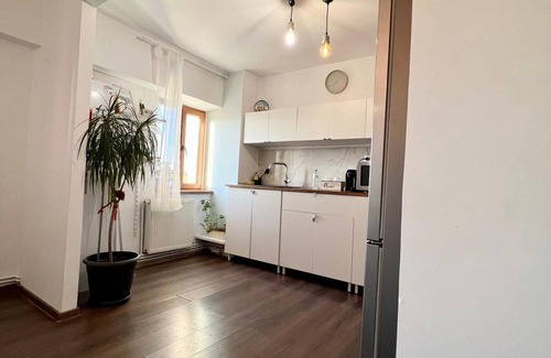 Targoviste Apartamento | Old town view Central Apartment