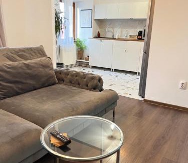 Targoviste Apartamento | Old Town View- UltraCentral Apartment