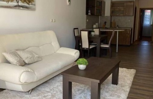 Shiligarnika Apartamento | Oldinn Large Flat with Terrace just minutes from the Slopes and the City.