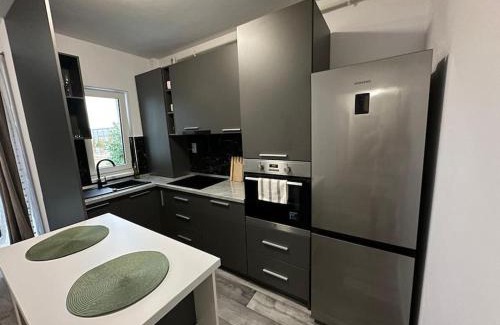 Baia Mare Apartamento | OldTown Maramures Studio 2