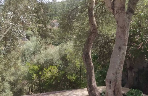 Sorso Casa | Olea House located in the countryside and close to everything you want.